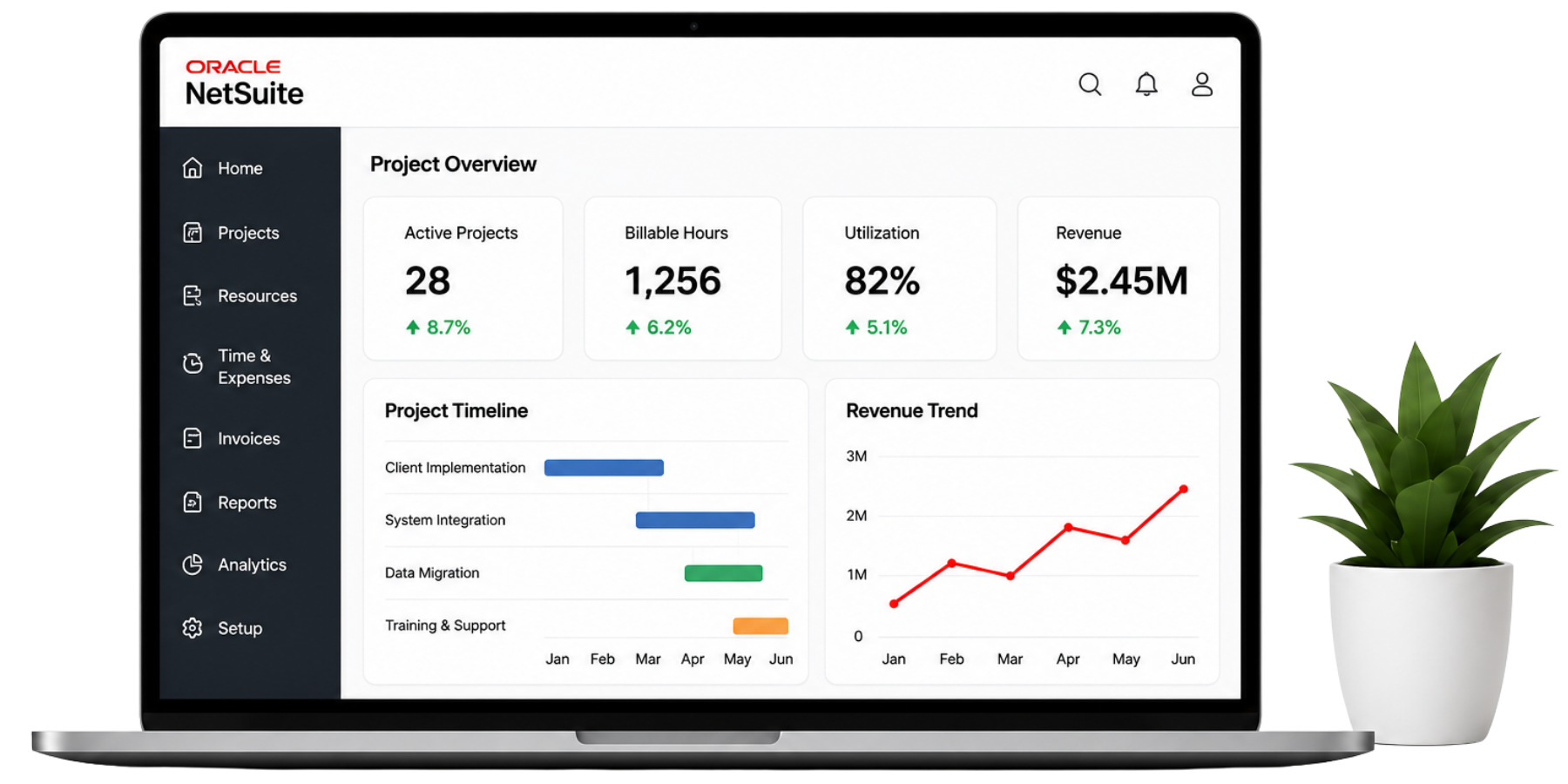 NetSuite solutions for professional services NetSuite solutions for professional services